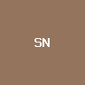 SanDisk (bStocks Tokenized Sto